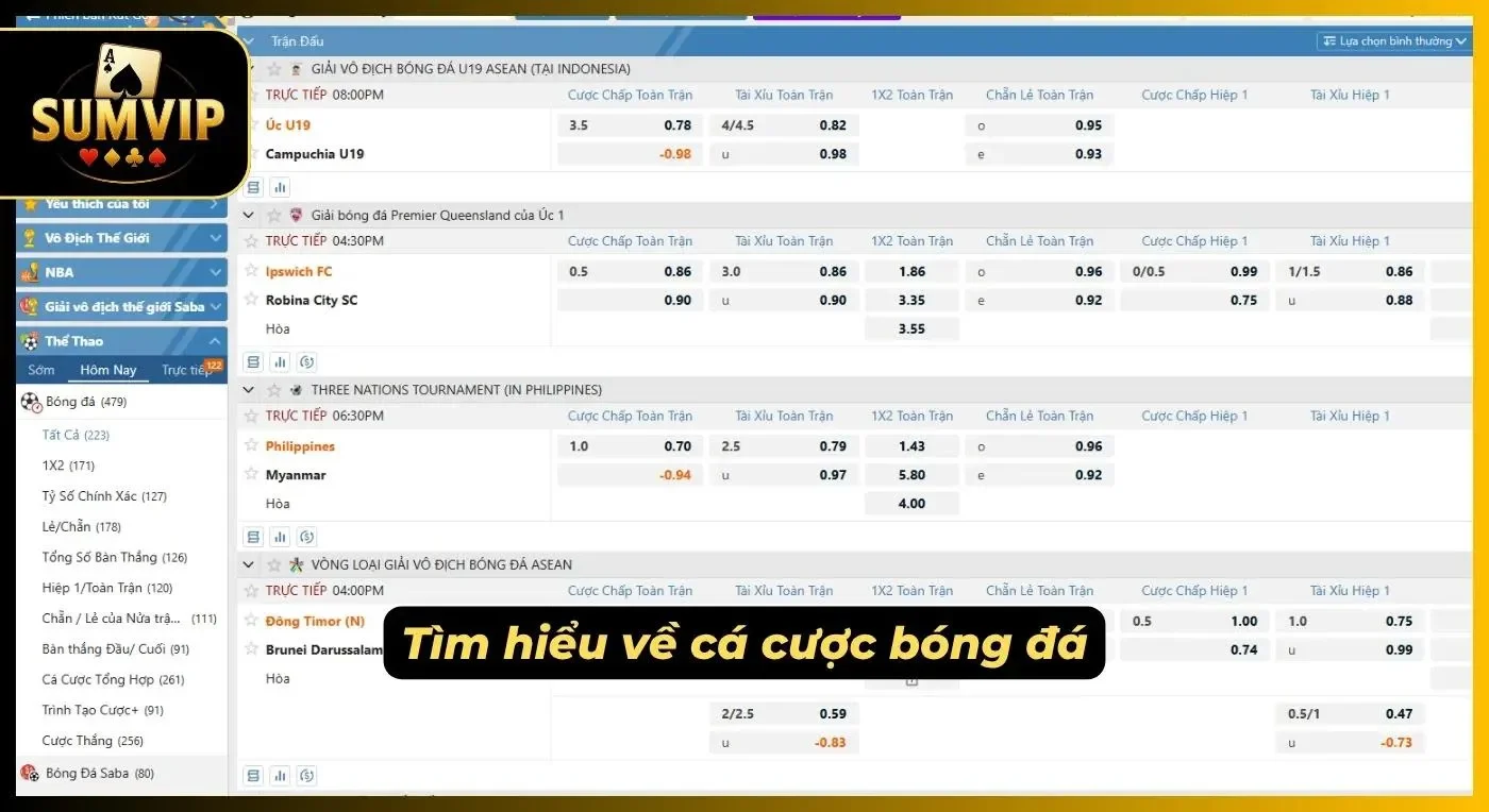 Tổng quan vài nét về cá cược bóng đá