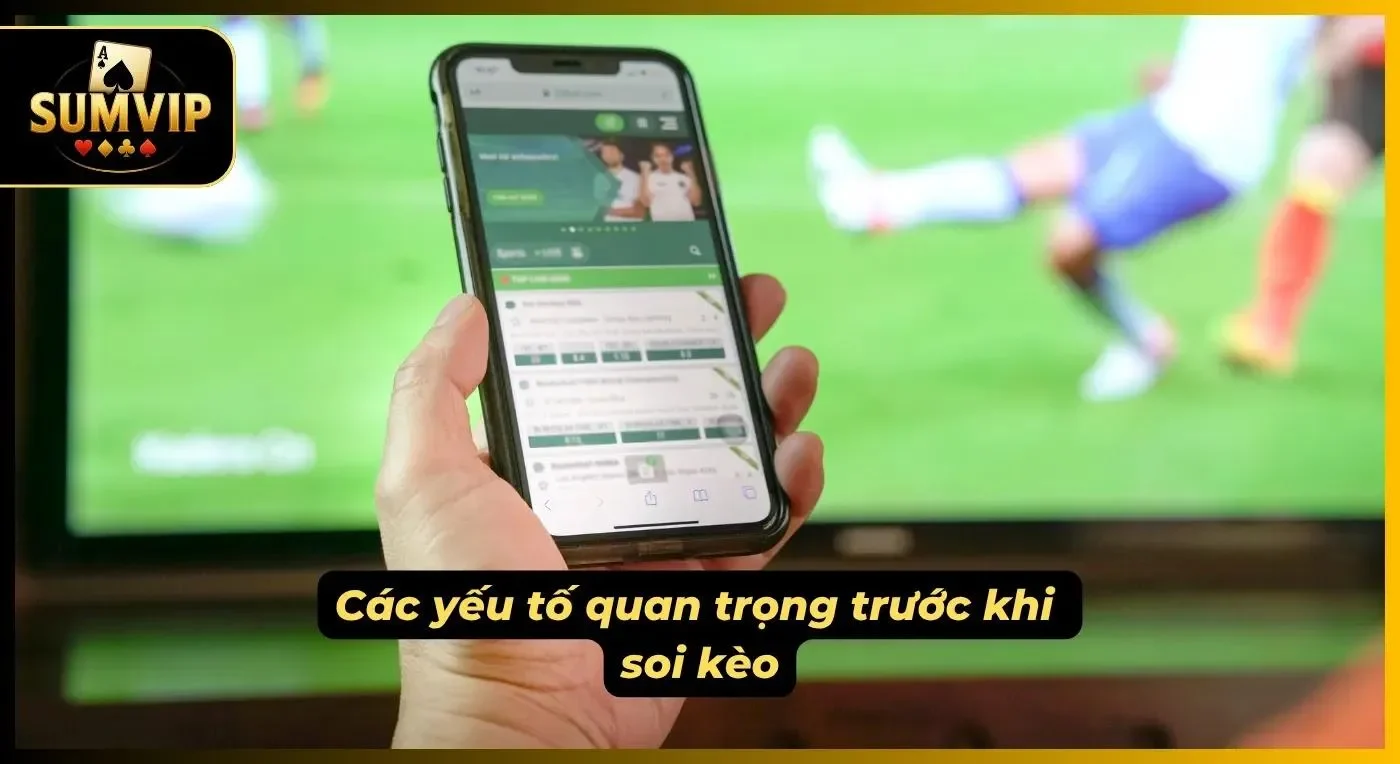 Cần xác định rõ yếu tố trước khi đặt cược