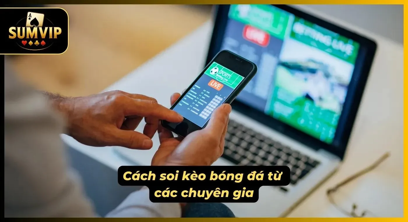 Chuyên gia cung cấp đến tân thủ quy tắc soi kèo hiệu quả